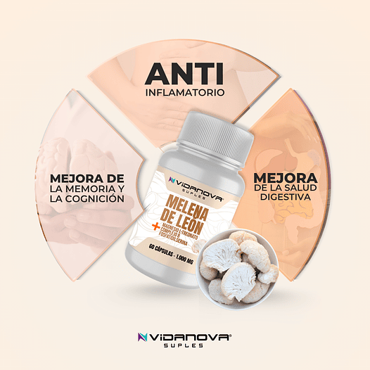🔥 NeuroFocus Pro™ – Melena de León Fortificada Plus
